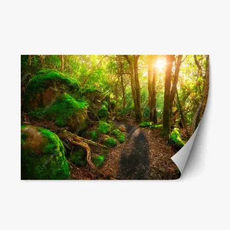 Pegatina reposicionable sendero jurásico en Tasmania – Pixers®