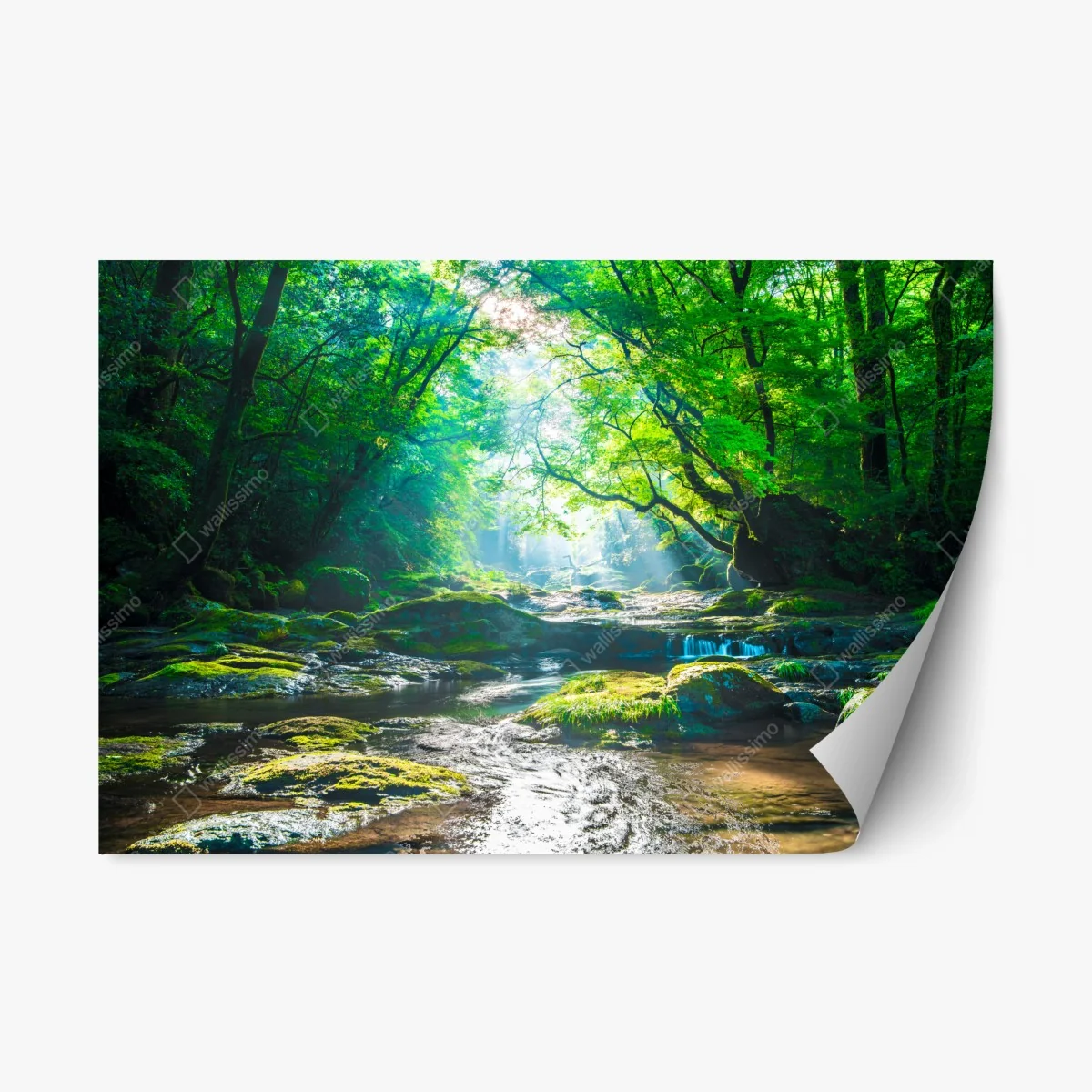 Pegatina reposicionable bosque luminoso junto al río – Pixers® Pegatina reposicionable bosque luminoso junto al río – Pixers®
