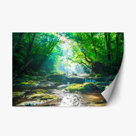 Pegatina reposicionable bosque luminoso junto al río – Pixers®