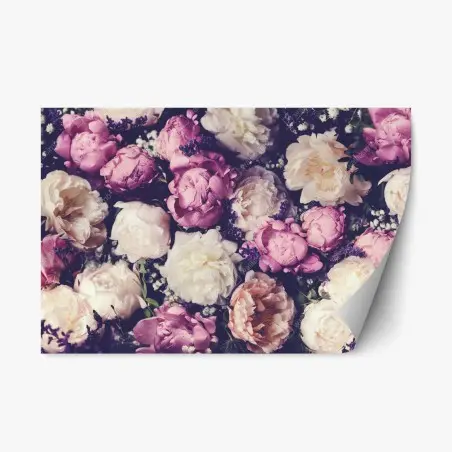 Pegatina reposicionable mural floral de peonías en tonos pastel – Pixers®