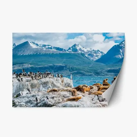 Pegatina reposicionable colonia de lobos marinos y aves marinas frente a montañas nevadas – Pixers®