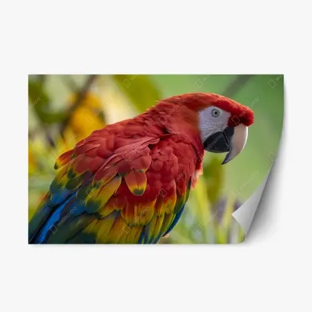 Pegatina reposicionable guacamayo escarlata de plumaje vibrante – Pixers®