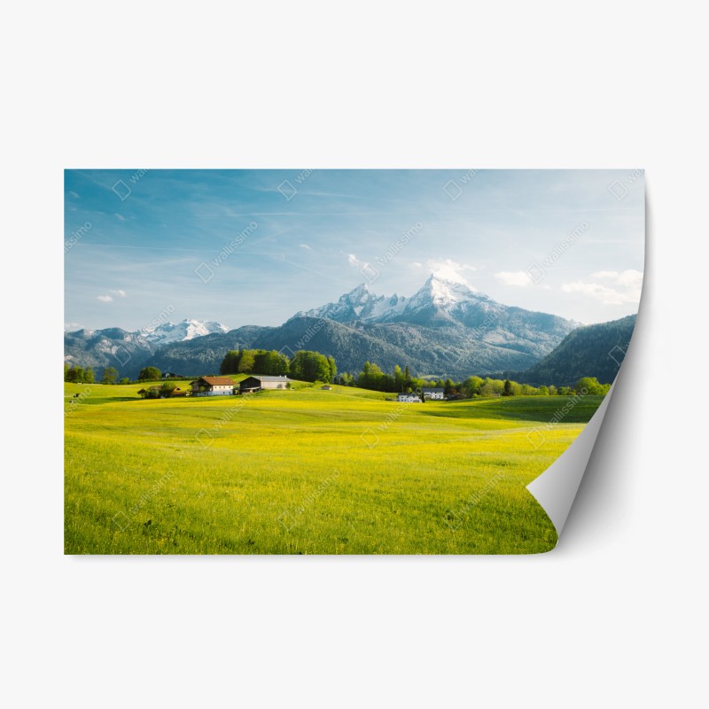 Pegatina reposicionable serenidad alpina: pradera y cumbres nevadas
