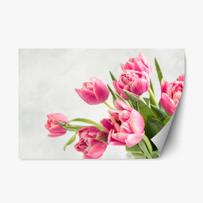 Pegatina reposicionable tulipanes rosas con gotas de rocío