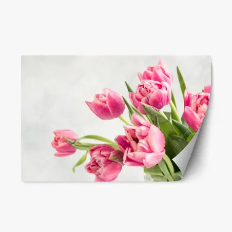 Pegatina reposicionable tulipanes rosas con gotas de rocío – Pixers®