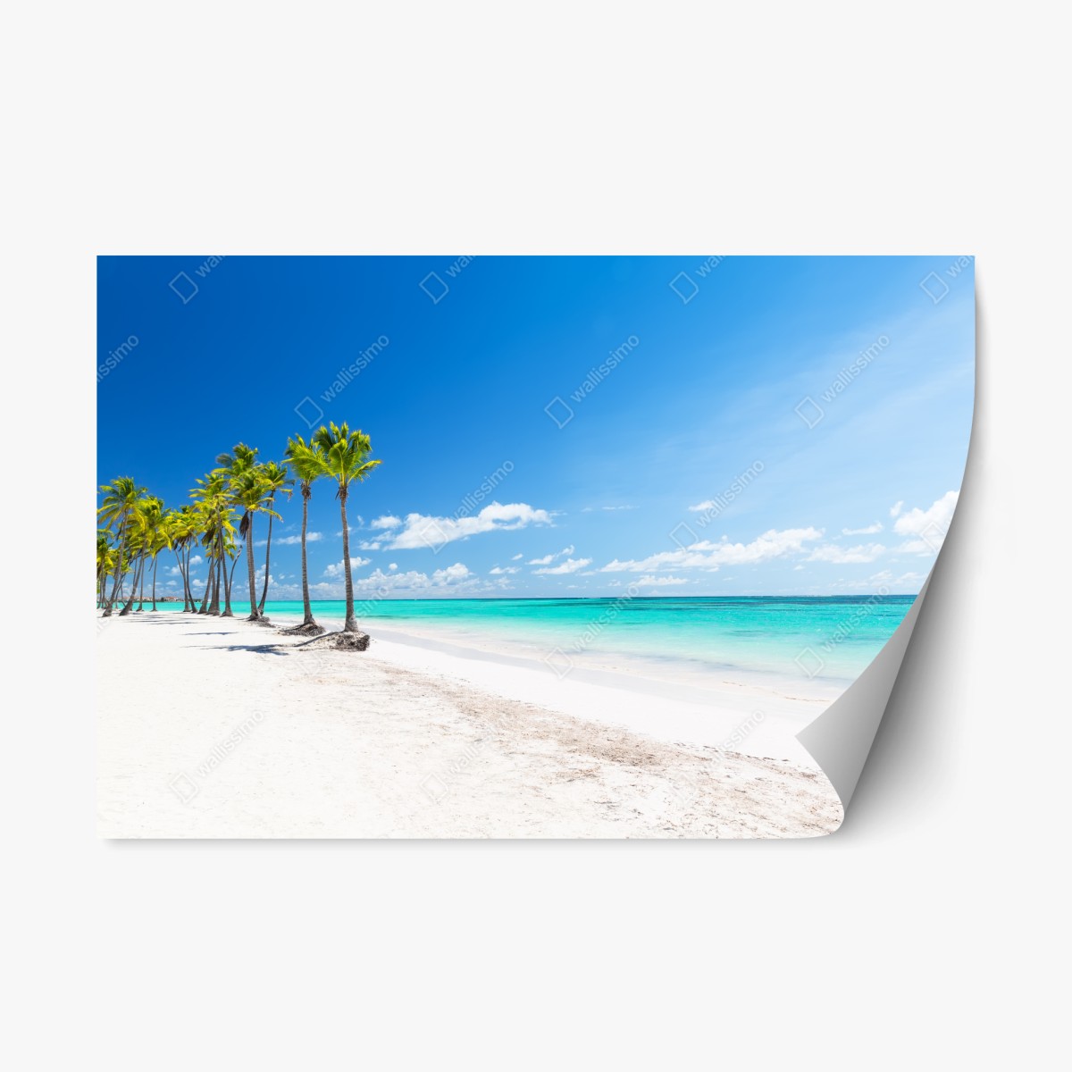 Pegatina reposicionable brisa tropical en Punta Cana – Pixers®