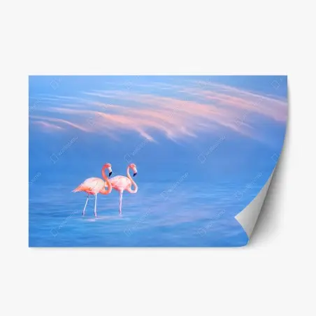 Pegatina reposicionable pareja de flamencos sobre agua azul al atardecer – Pixers®
