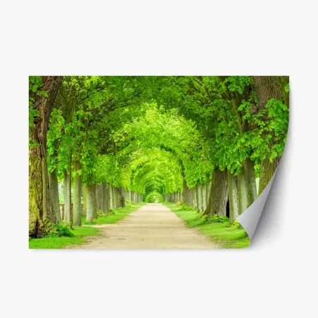 Pegatina reposicionable túnel verde de árboles en perspectiva – Pixers®