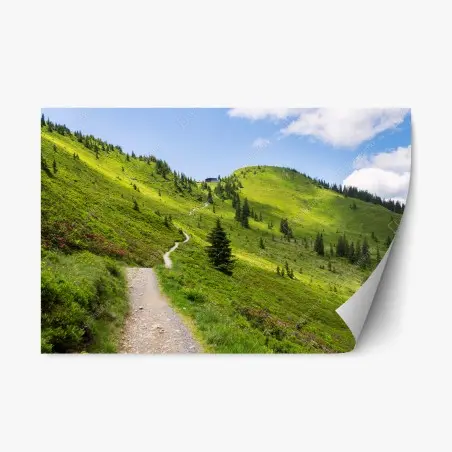 Pegatina reposicionable sendero entre colinas verdes – Pixers®