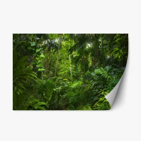 Pegatina reposicionable profundidad verde de la selva – Pixers®
