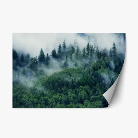 Pegatina reposicionable bosque en la niebla, calma montañosa – Pixers®