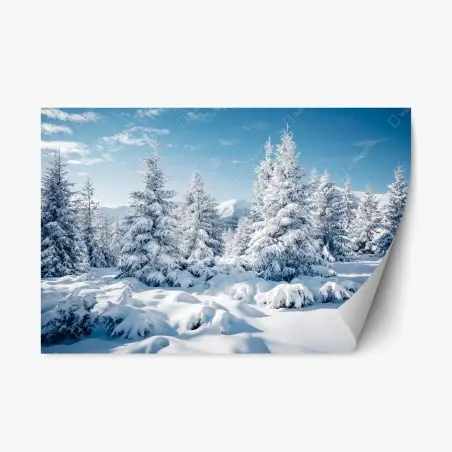 Pegatina reposicionable bosque de abetos nevados en los Cárpatos, Ucrania – Pixers®