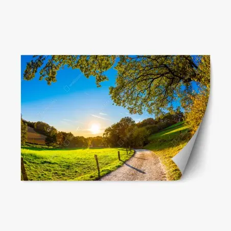 Pegatina reposicionable sendero al atardecer en el campo – Pixers®