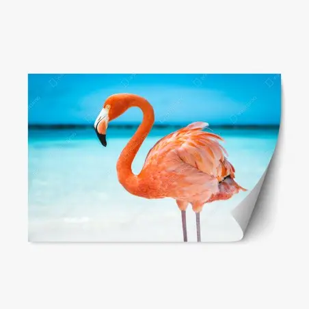 Pegatina reposicionable flamenco rosa junto al mar – Pixers®