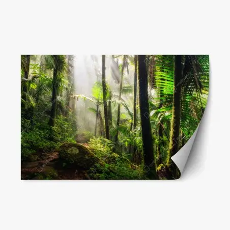 Pegatina reposicionable amanecer en la selva tropical – Pixers®
