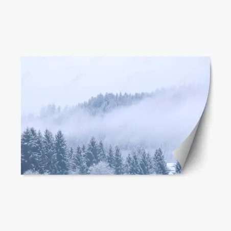 Pegatina reposicionable bosque invernal en niebla, Alemania – Pixers®