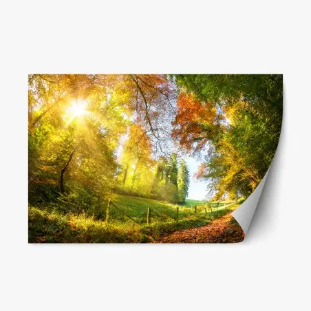Pegatina reposicionable camino dorado de otoño entre los árboles – Pixers®