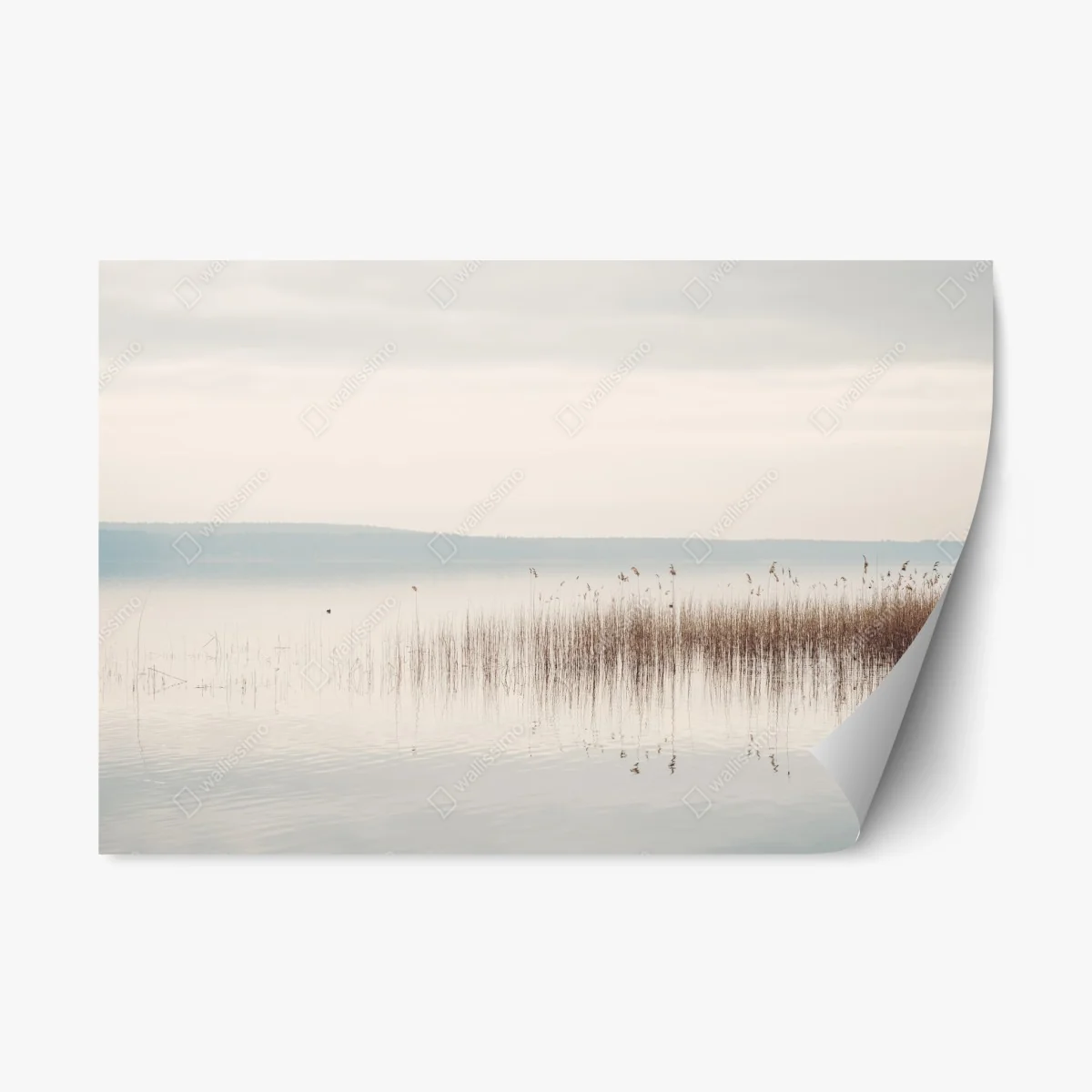 Pegatina reposicionable paisaje lacustre minimalista con juncos – Pixers® Pegatina reposicionable paisaje lacustre minimalista con juncos – Pixers®