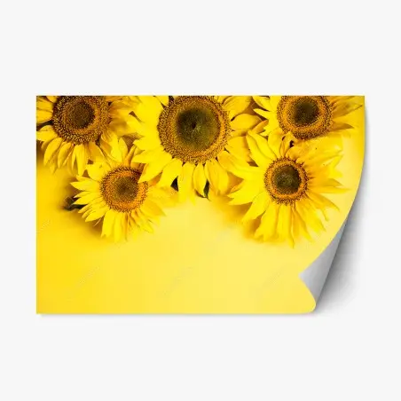 Pegatina reposicionable girasoles sobre fondo amarillo – Pixers®