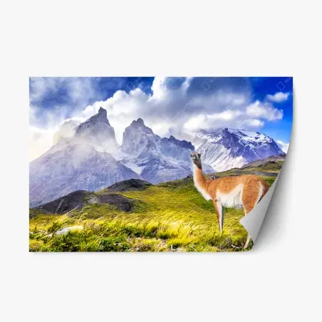 Pegatina reposicionable amanecer en Torres del Paine – Pixers®