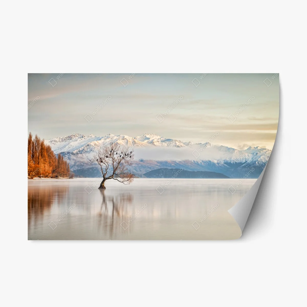 Pegatina reposicionable escena invernal en lago Wanaka – Pixers® Pegatina reposicionable escena invernal en lago Wanaka – Pixers®