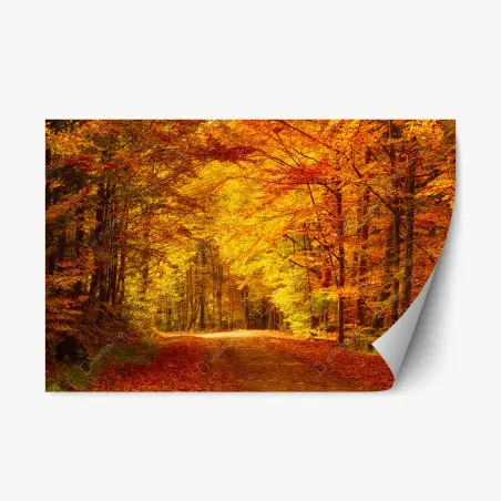 Pegatina reposicionable bosque otoñal en tonos dorados – Pixers®