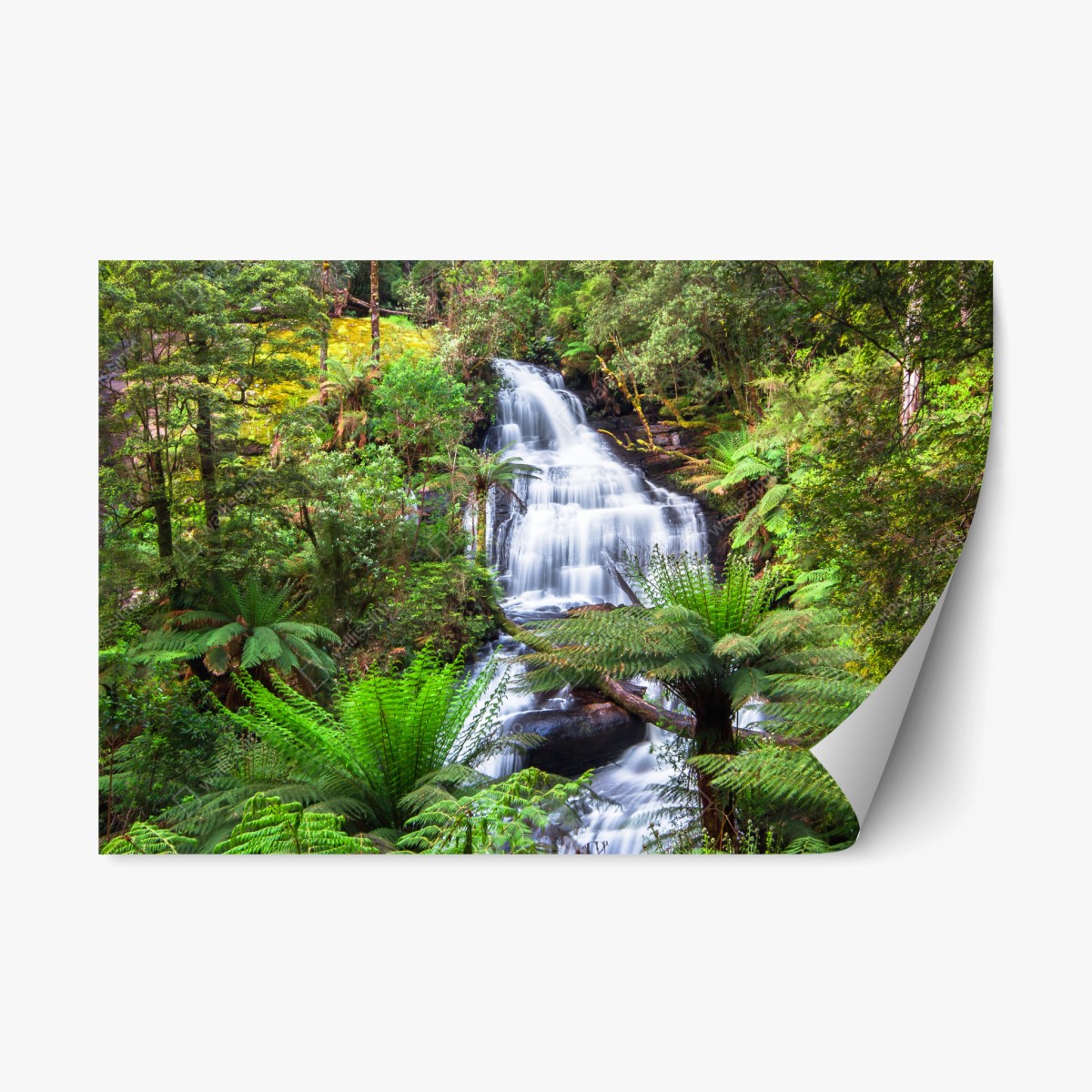 Pegatina reposicionable cascada serena en Triplet Falls, Great Otway National Park – Pixers®