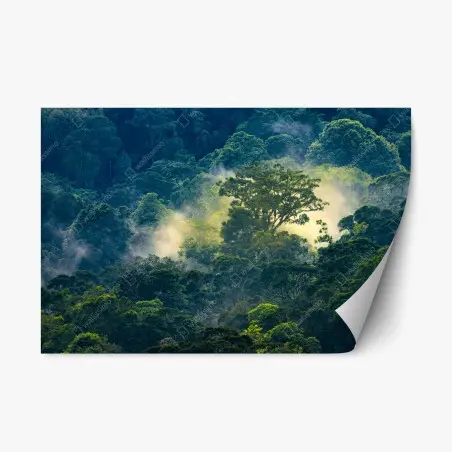 Pegatina reposicionable amanecer en la selva neblinosa – Pixers®