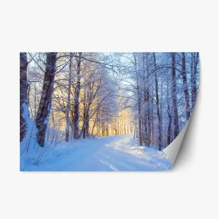 Pegatina reposicionable camino nevado al amanecer en el bosque – Pixers®
