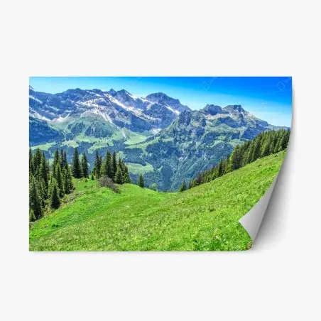 Pegatina reposicionable vistas panorámicas de los Alpes en Engelberg, Suiza – Pixers®