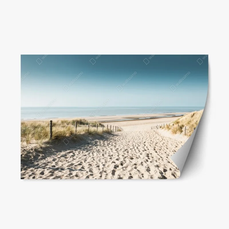 Pegatina reposicionable amanecer sereno en las dunas de Noordwijk