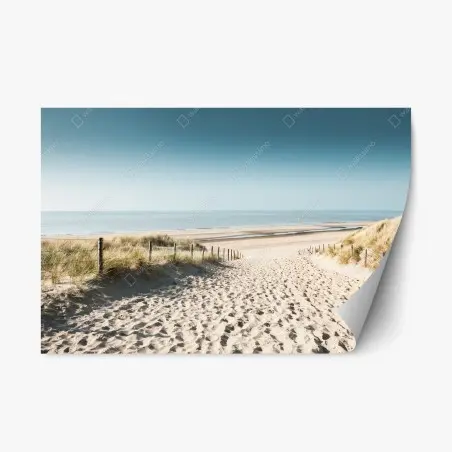 Pegatina reposicionable amanecer sereno en las dunas de Noordwijk – Pixers®