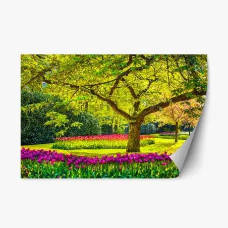Pegatina reposicionable jardín de tulipanes en Keukenhof – Pixers®