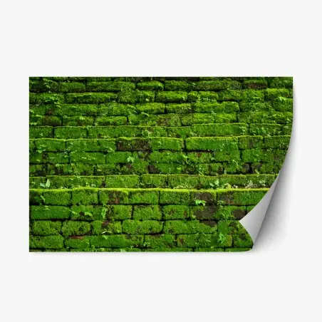 Pegatina reposicionable muro verde cubierto de musgo rústico – Pixers®