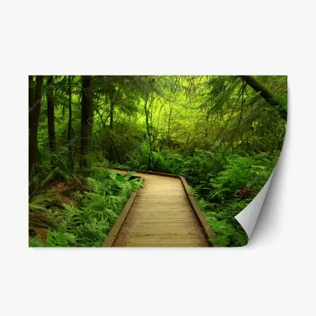 Pegatina reposicionable sendero verde en bosque encantado – Pixers®