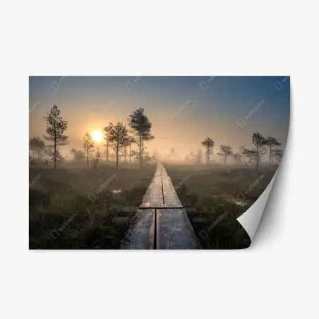 Pegatina reposicionable amanecer en el sendero del pantano brumoso – Pixers®