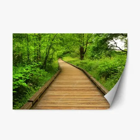 Pegatina reposicionable sendero de madera entre árboles – Pixers®