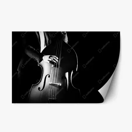 Pegatina reposicionable elegancia del contrabajo en blanco y negro – Pixers®