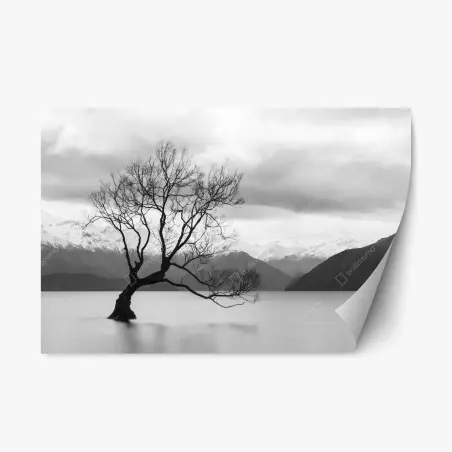 Pegatina reposicionable árbol solitario en el lago – Pixers®
