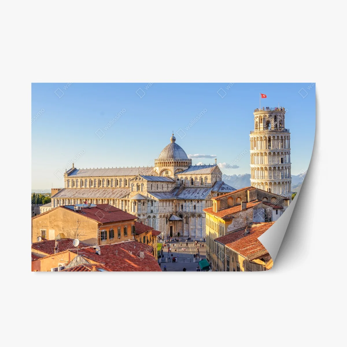 Pegatina reposicionable vista panorámica de la catedral y la torre inclinada de Pisa – Pixers® Pegatina reposicionable vista panorámica de la catedral y la torre inclinada de Pisa – Pixers®