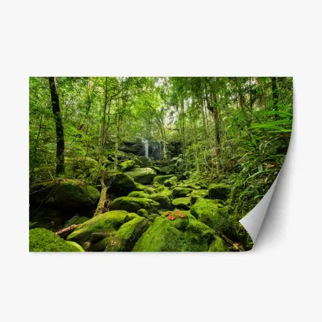 Pegatina reposicionable refugio verde en la selva tropical – Pixers®