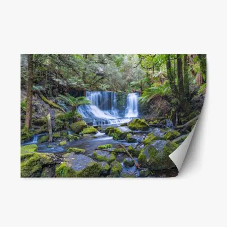 Pegatina reposicionable cascada serena en bosque musgoso – Pixers®