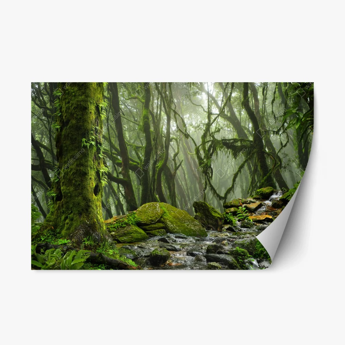 Pegatina reposicionable bosque húmedo con arroyo entre rocas – Pixers® Pegatina reposicionable bosque húmedo con arroyo entre rocas – Pixers®