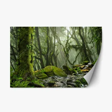 Pegatina reposicionable bosque húmedo con arroyo entre rocas – Pixers®