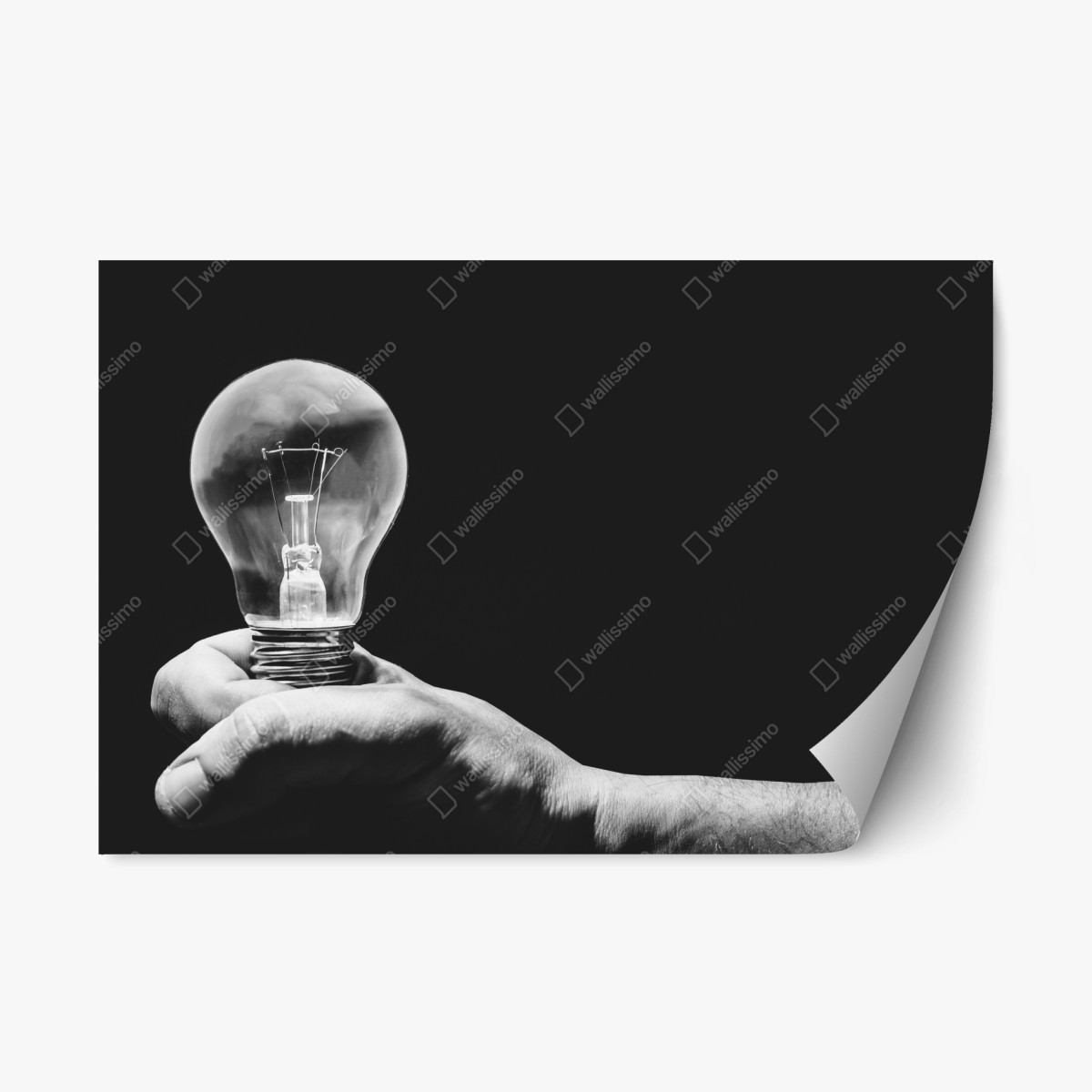 Pegatina reposicionable mano sosteniendo bombilla en blanco y negro – Pixers®
