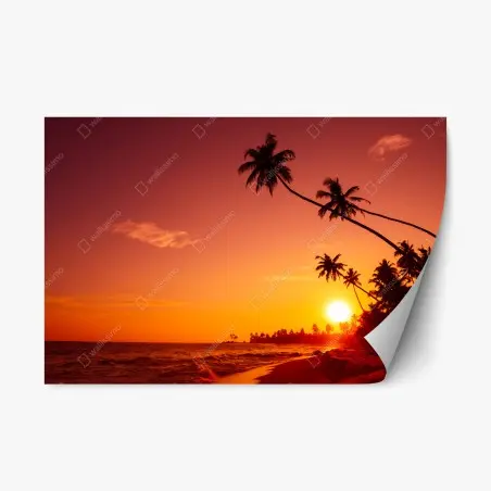 Pegatina reposicionable atardecer tropical con palmeras en la costa – Pixers®