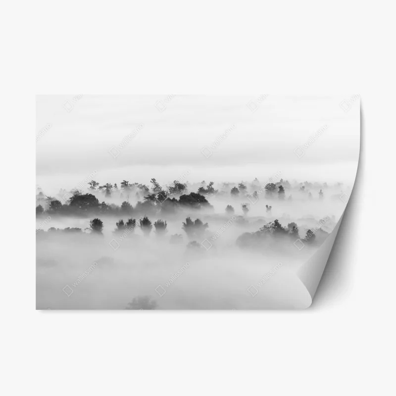 Pegatina reposicionable bosque entre niebla en blanco y negro