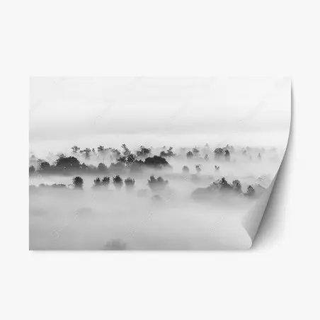 Pegatina reposicionable bosque entre niebla en blanco y negro – Pixers®