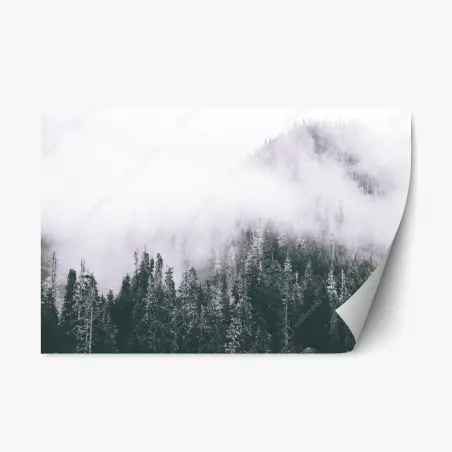 Pegatina reposicionable bosque envuelto en niebla – Pixers®
