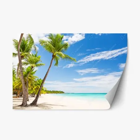 Pegatina reposicionable paraíso tropical en Punta Cana – Pixers®